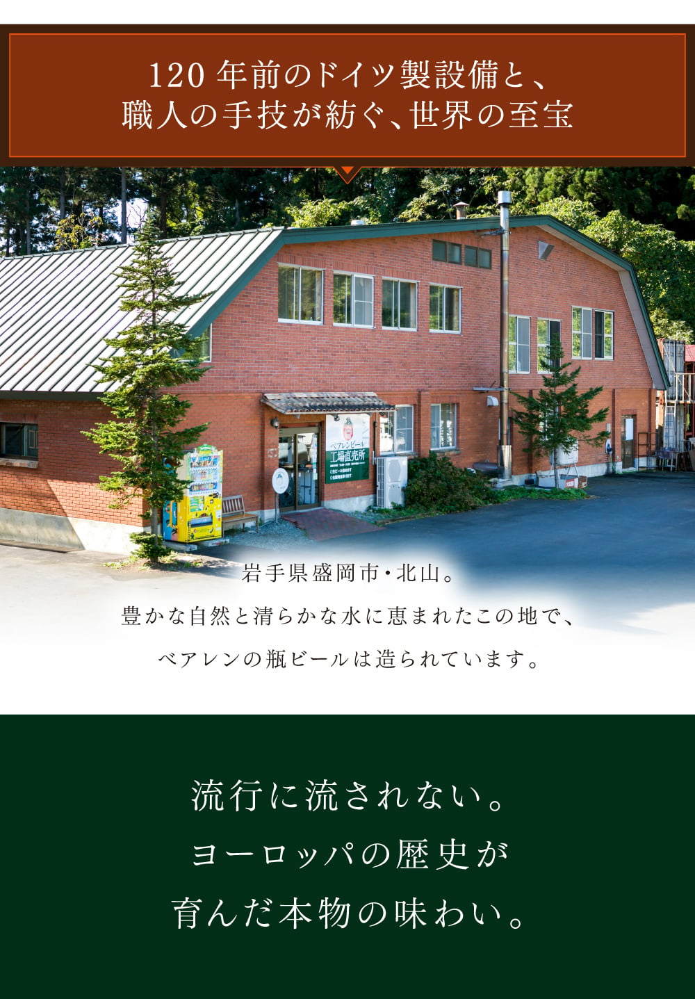 秋ギフト ビール ギフト プレゼント クラフトビール 飲み比べ セット ベアレン 6本 送料無料 岩手 地ビール 世界一受賞 常温保存 詰め合わせ 誕生日 お酒 御礼 内祝 瓶ビール