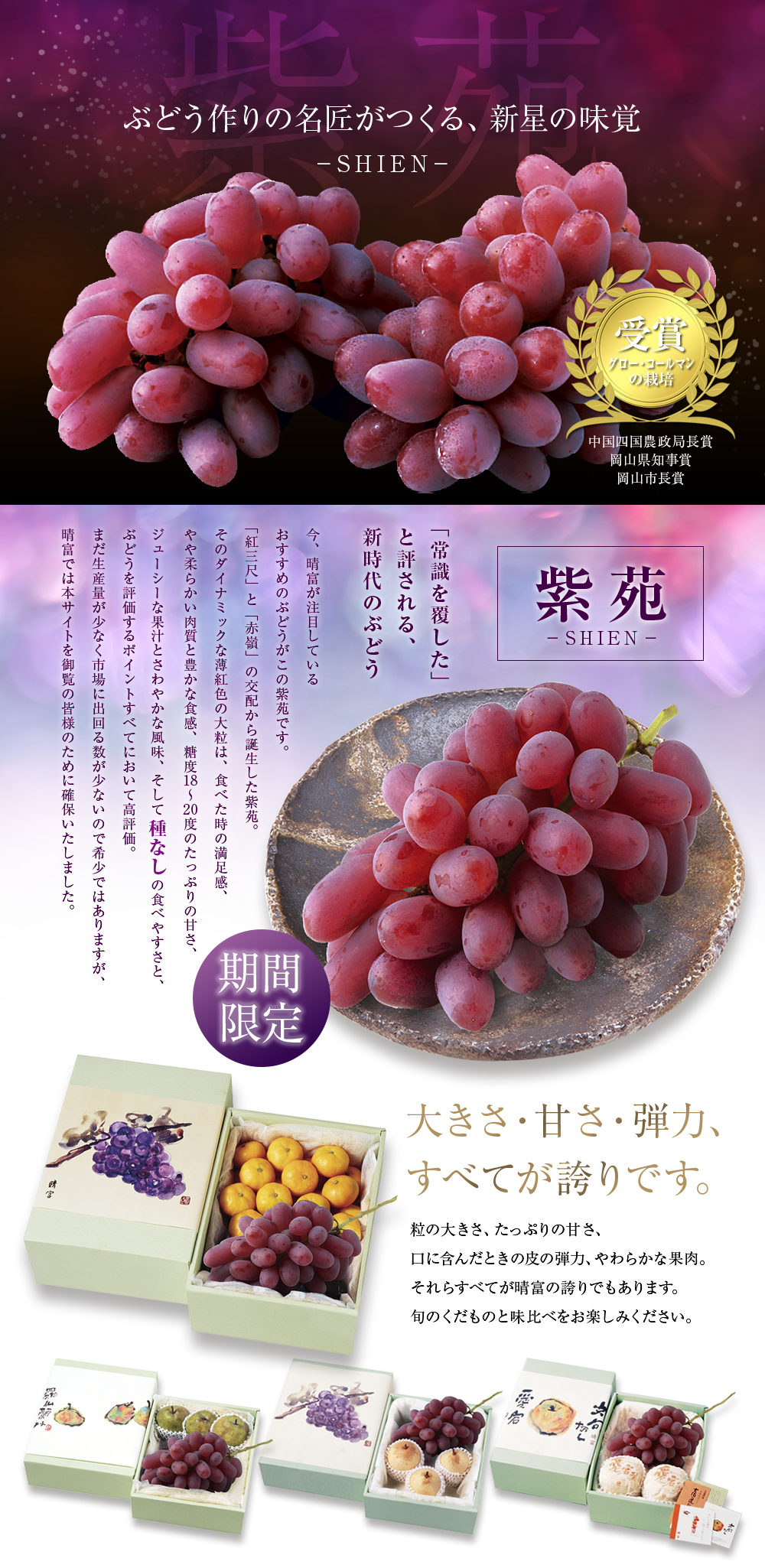 紫苑（約600g×１房）【送料無料】_GM422-180__フルーツ/果物/お歳暮