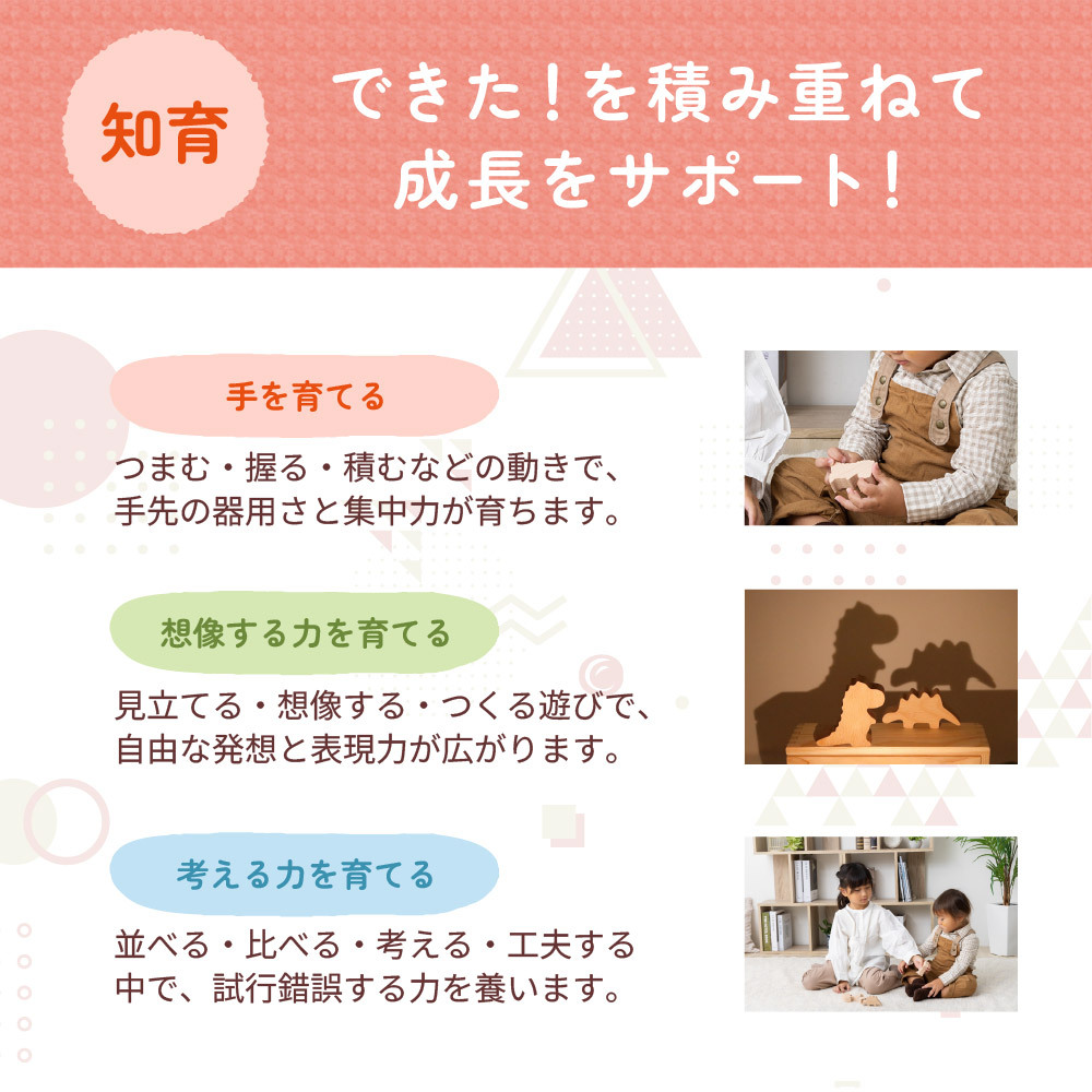 【名入れ】【型はめパズル】【出産祝い】【1歳誕生日プレゼント】【恐竜（ティラノサウルス・ステゴサウルス・トリケラトプス・ブロントサウルス）】ギフト/ラッピング無料/木のおもちゃ/木製玩具/無塗装/積み木/ごっこあそび/赤ちゃん/男の子/女の子 『ブロットプロジェクト|PICTO TSUMIKI - The Jurassic & puzzle』