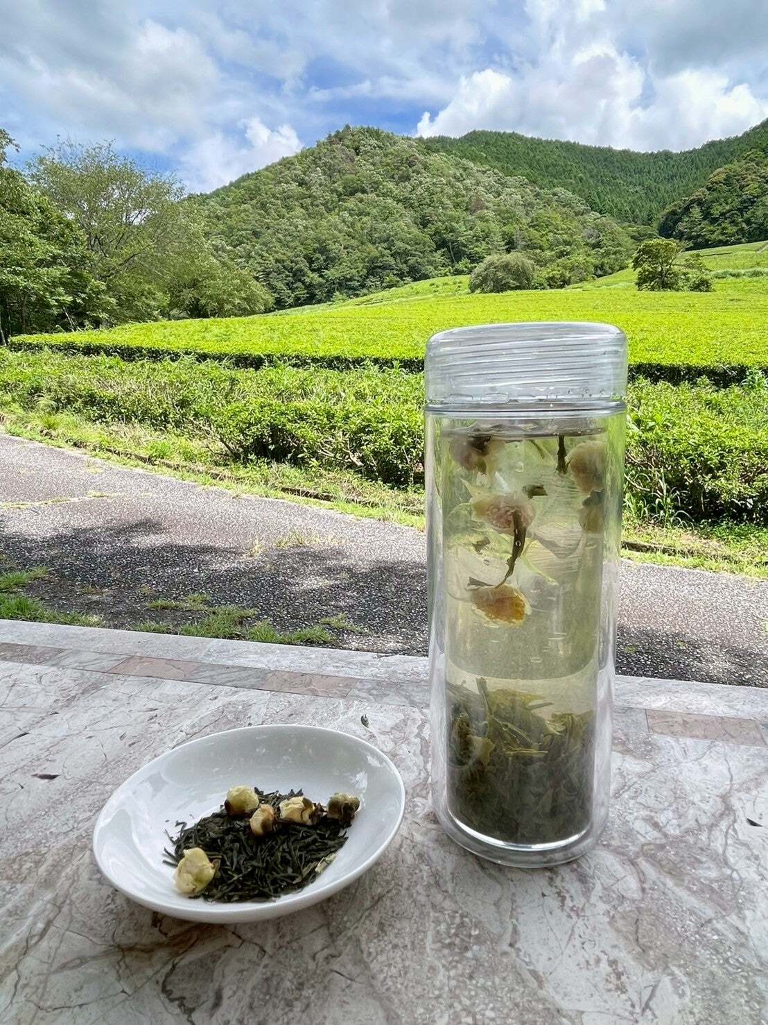 【自然栽培のお茶】茶の花煎茶ティーバッグ8包