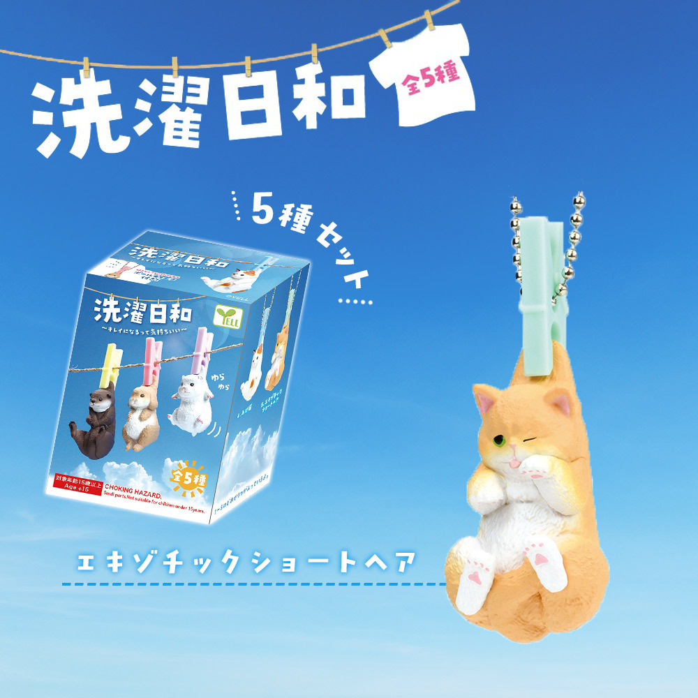【5種類セット】 ガチャ ガチャガチャ コンプリート 中身 洗濯日和