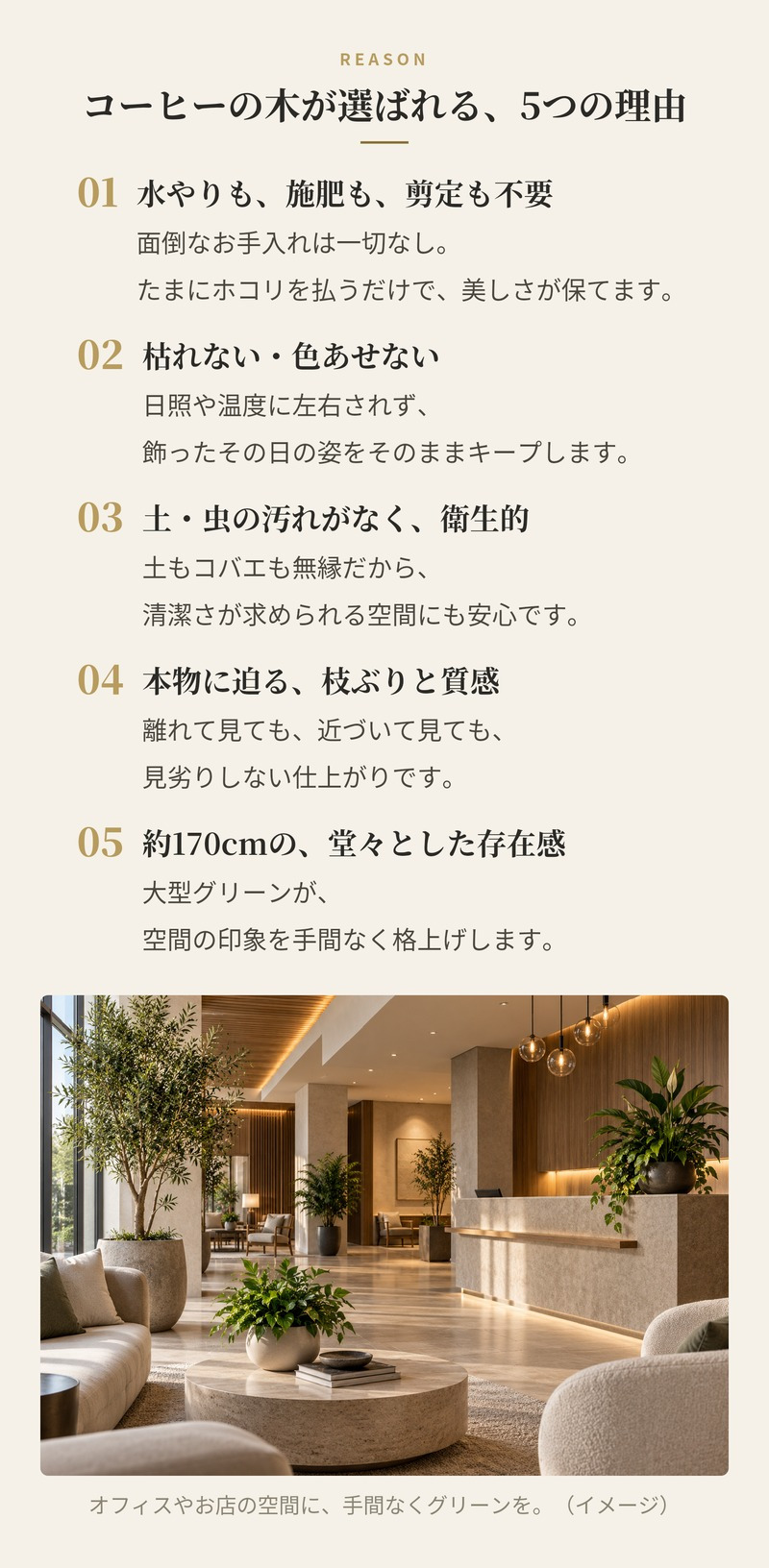 観葉植物 造花 コーヒーの木 BROWN 全高約170cm 大型 スリム フェイクグリーン 高級 本物そっくり リアル おしゃれ インテリア 人工観葉植物 アーティフィシャルグリーン カフェ オフィス 店舗 開店祝い 室内 リビング 玄関 寝室 風水 コーヒーノキ