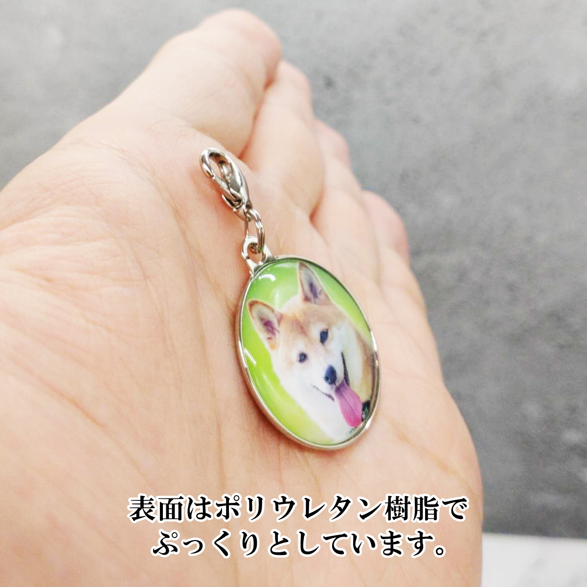 写真入り チャーム バッグチャーム 記念品 プレゼント ギフト  卒業記念品 卒業 卒園 卒部 敬老の日 母の日 父の日 誕生日プレゼント 還暦祝い 祖母 祖父 お父さん お母さん 父 母 男性 女性