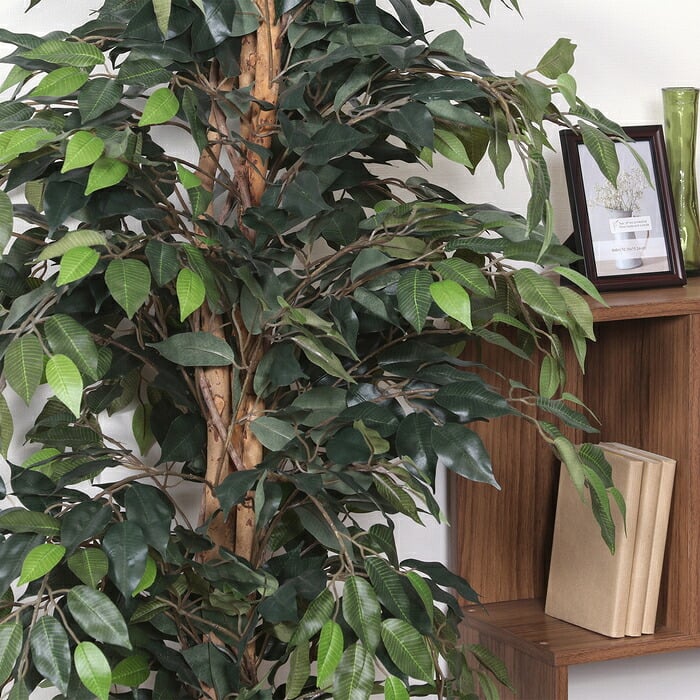 ガーデン エクステリア 観葉植物 フィカス １１２４ Ａ フェイクグリーン 植物 緑 グリーン 癒し 植木 インテリア ガーデニング おしゃれ カフェ リビング プランター ギフト プレゼント 贈り物 オフィス 会社 枯れない 簡単 手入れ 人気 樹木