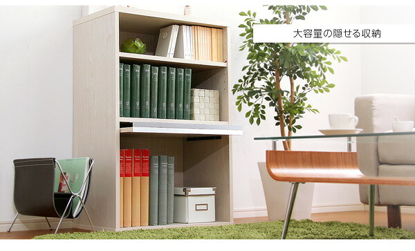 収納家具 ラック DEALS-ディールズ- フラップ扉1枚タイプ DS60-F1--WAL ウォールナット ホームテイスト ディスプレイ シリーズ 本棚 ブック フラップ フラップチェスト