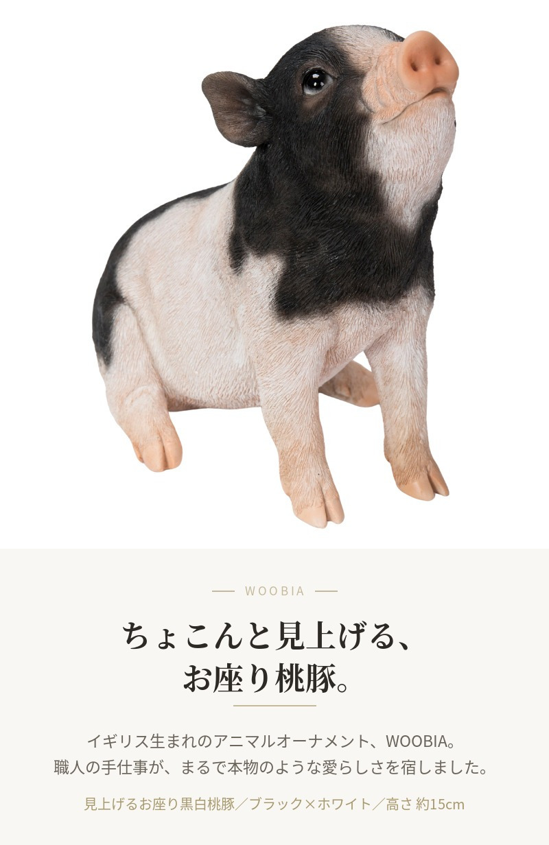 置物 豚 見上げるお座り黒白桃豚 幅19cm woobia ウービア ぶた リアル かわいい おしゃれ 玄関 インテリア オブジェ ガーデン ミニブタ 動物 アニマル 癒し 棚 北欧 プレゼント ギフト 新築祝い 面白い