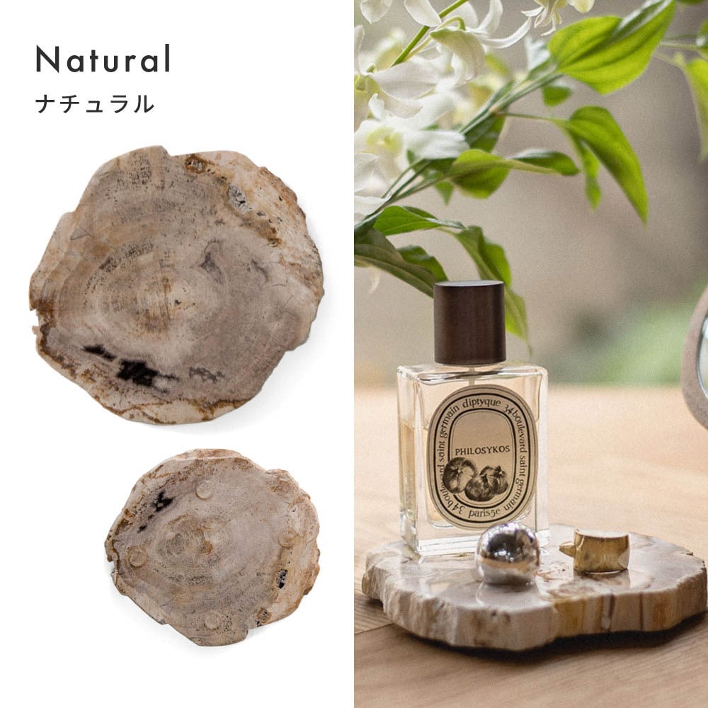 amabro アマブロ WOOD COASTER ウッドコースター 木のコースター 木製コースター 木製 珪化木 村上美術 コースター プレート