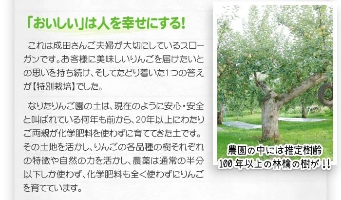 【11月中旬頃発送】蜜入りは１２月末まで　青森県認証 特別栽培農産物 ◆ 甘くておいしい！フォーシーズン 青森りんご 葉とらずサンふじ 家庭用 約１０kg箱