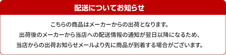 フジ医療器 リビングマッサージチェア ブルー 4つ玉もみメカ 4段階リクライニング 医療機器認証品 10分オートタイマー 保証書付き 敬老の日 ギフト プレゼント