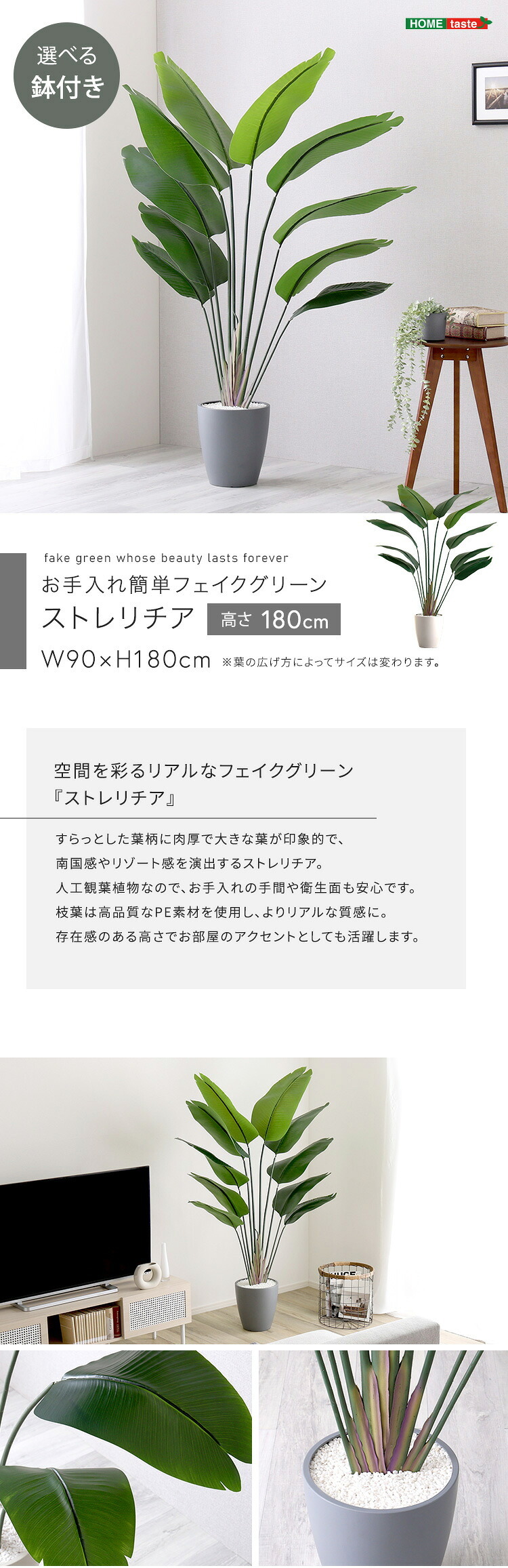 お手入れ簡単 フェイクグリーン ストレリチア Lサイズ(180cm) 新生活