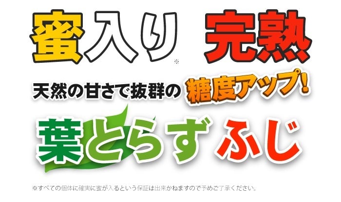 【11月中旬頃発送】蜜入りは１２月末まで 甘くておいしい！ フォーシーズン 青森りんご 葉とらずサンふじ　家庭用　5C箱(5kg箱)