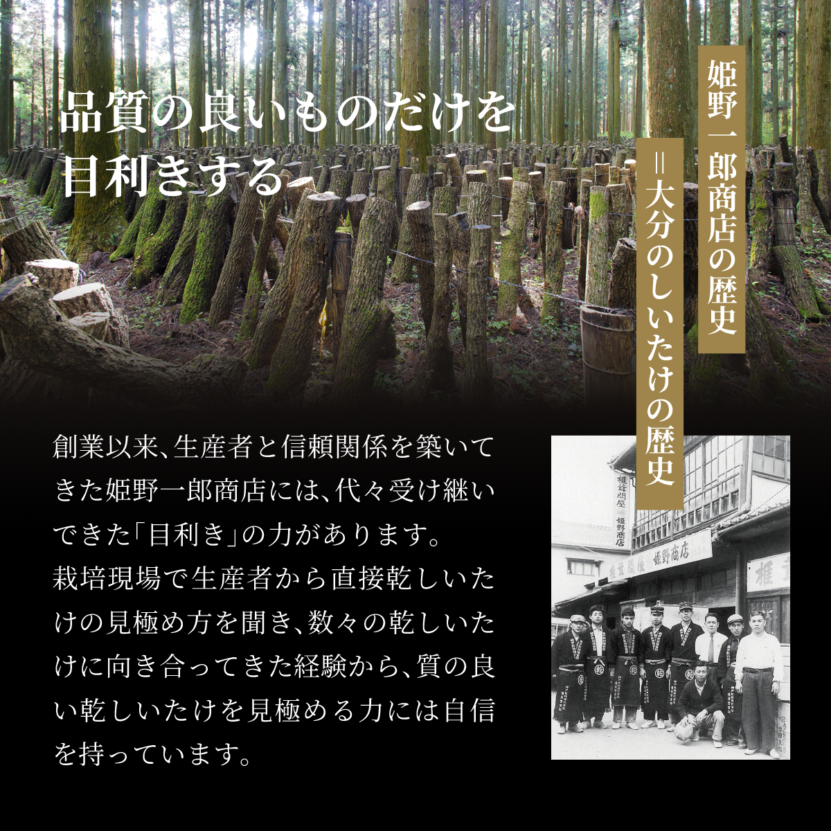 佃煮 ギフト 椎茸 老舗 詰め合わせ 国産 姫 ギフトセット 10個入(9種類)  しいたけの佃煮 昆布の佃煮 ちりめん ぴり辛 つくだ煮 甘露煮 ゆず甘露 きくらげ ご飯のお供 保存料・化学調味料不使用 手作り プレゼント 贈り物 手土産 ふるさとの味 姫野一郎商店 母の日 お歳暮 お中元 夏の贈り物 冬の贈り物 敬老の日 新築祝い お祝い 敬老の日 快気祝い 引っ越し祝い 