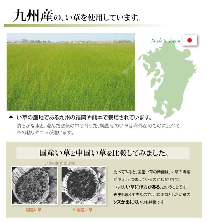 夏ラグ 夏用カーペット 純国産 い草 上敷き カーペット 双目織 『草津』 江戸間8畳(約352×352cm）
