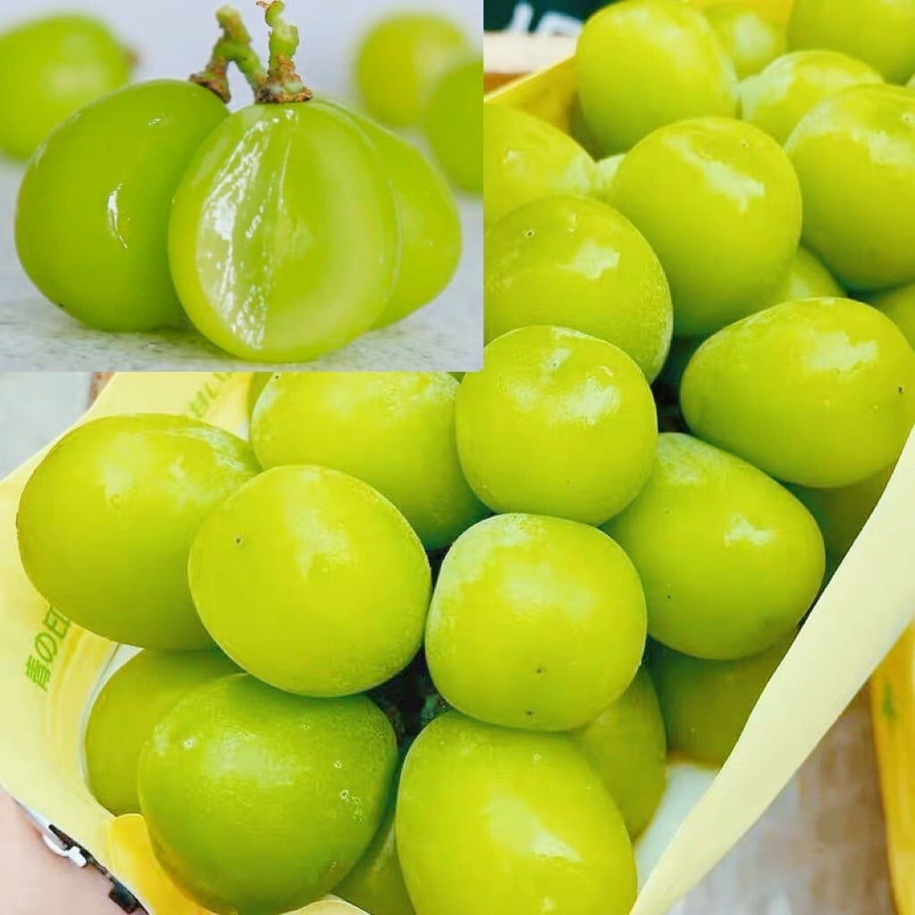 岡山県産 ぶどう シャインマスカット 300g3房 贈答用秀品 国産 フルーツ