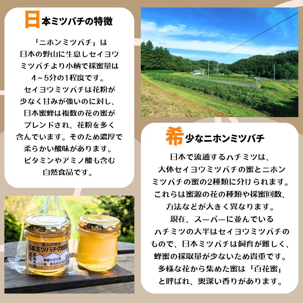 送料無料【数量限定！】 日本ミツバチ はちみつ 宮城県産 非加熱 生はちみつ 百花蜂蜜 百花蜜 希少 ニホンミツバチ にほんみつばち 国産