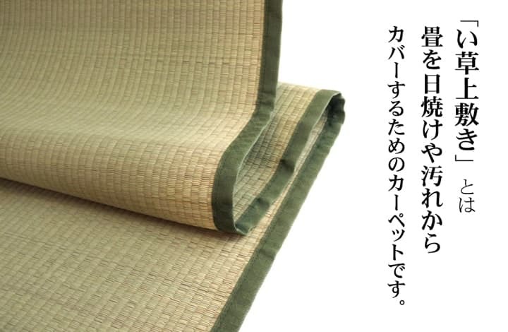 夏ラグ 夏用カーペット 純国産 い草 上敷き カーペット 双目織 『草津』 本間6畳(約286×382cm）