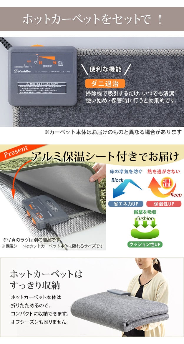ホットカーペット カバー 防水 木目調ホットカーペット・カバー-ウッディ 1畳用(200x98) ホットカーペット本体 2点セット ラグ リビングマット フローリング調 クッション性 抗菌 防カビ 防汚 防水 日本製 床暖房対応 ペット 子供 あったか
