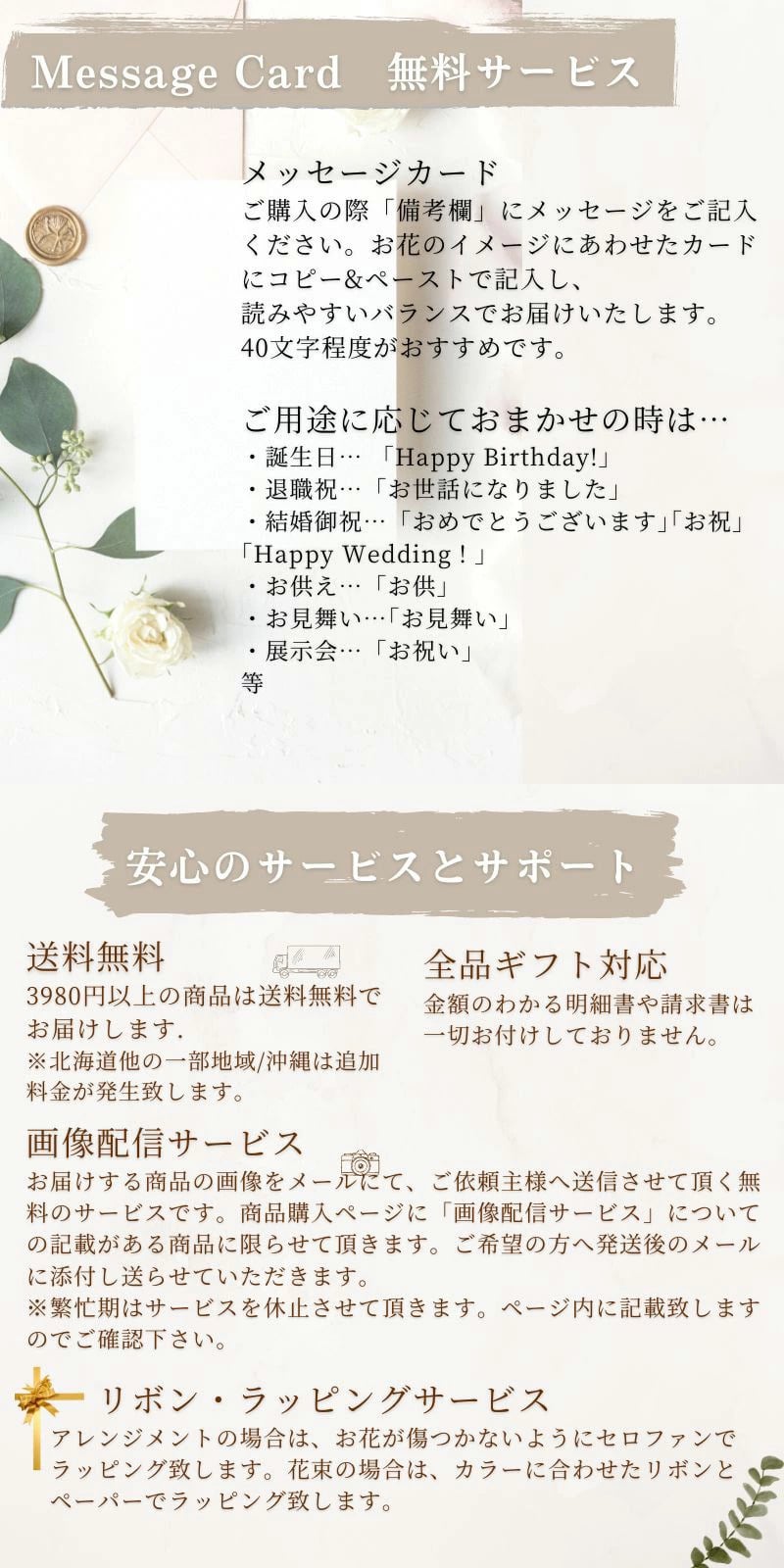 【ＡＲＮＯＸ】ＢＯＸフラワー　送料無料 即日発送 御祝いに生花のBOXフラワー 生花 敬老の日 フラワー ギフト 誕生日 結婚祝い お見舞 送別 新築祝い フラワーケーキ BOXフラワー BOXアレンジ ウエディング 御祝い 卒業 入学 出産 お供え 敬老の日 お中元 お歳暮