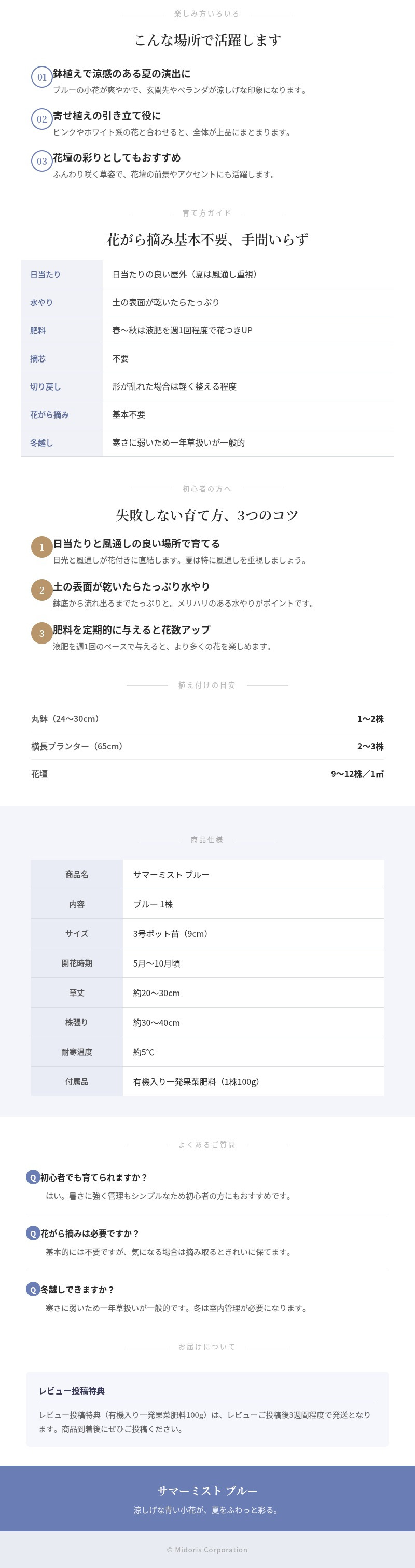サマーミスト 苗 ブルー 1株 3号ポット サントリーフラワーズ｜ユーフォルビア｜涼しげな青い小花が咲く夏の花苗｜寄せ植え・鉢植え・花壇におすすめ｜肥料付き ハンギング プランター