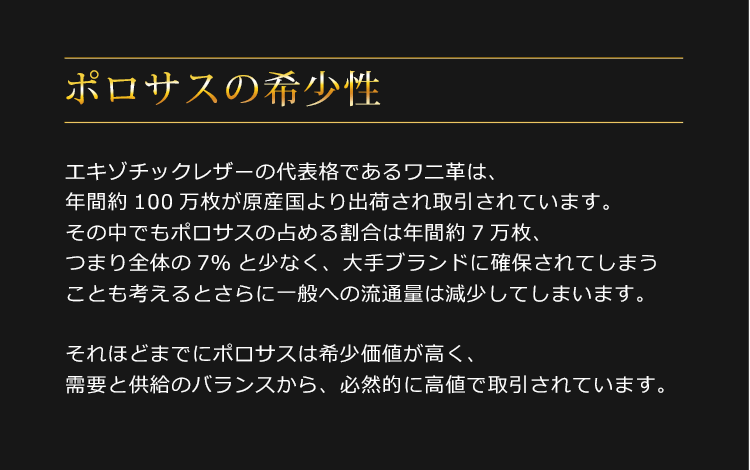 ヒマラヤ ポロサス 日本製 メンズ ハンドバッグ センター取り JRA 両開ファスナー スモール クロコダイル レザー 本革 鰐革 安心 保証書 メンズバッグ 男性用鞄 プレゼント ギフト 4FA (06001494-mens-1r)