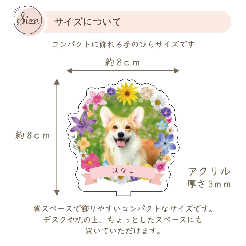 写真入り ペットフレーム キュートシリーズ｜選べる4種 ミニサイズ 犬 猫 愛犬 愛猫 ペット メモリアルグッズ 写真 かわいい オーダーメイド オリジナル 遺影 仏具 位牌 ペット供養 記念 記念品 文字入り フォト 思い出 手元供養 供養 鳥 うさぎ 金魚 カナリア トイプードル チワワ ハムスター 写真立て アルバム ペットロス 名入れ ペットグッズ プレゼント ギフト