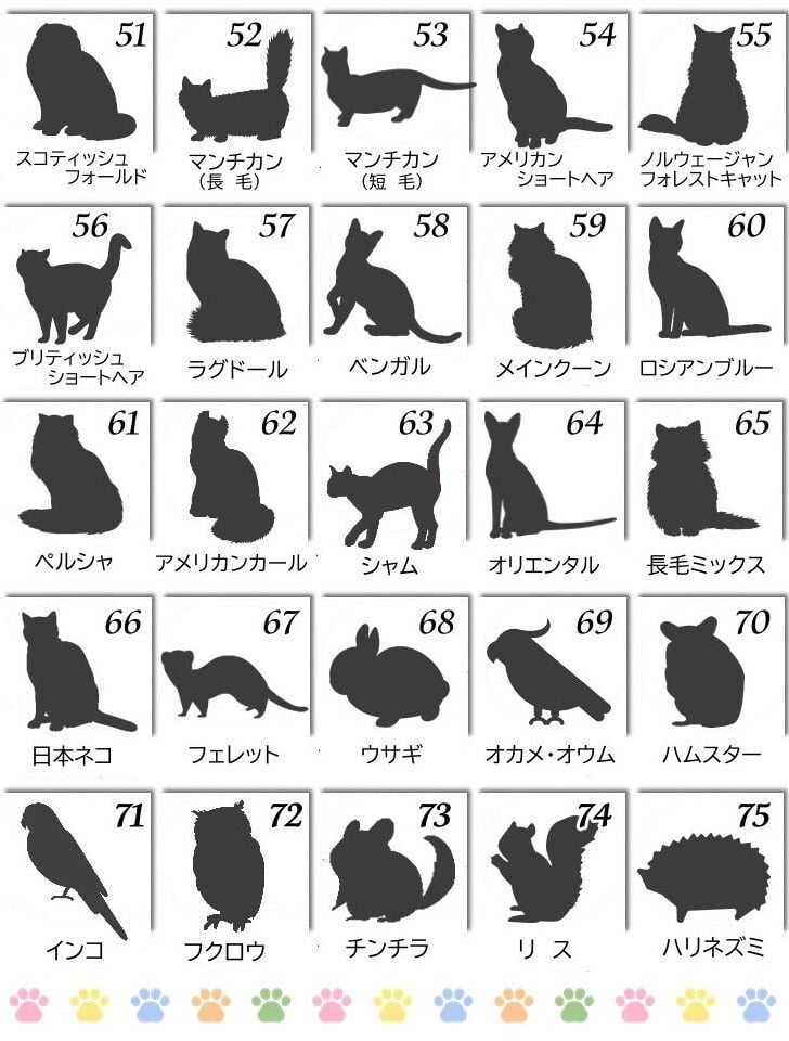 プリザーブドフラワー ペット用 お悔やみ花 贈り物 お供え 愛犬 命日 仏花 四十九日 初盆 お盆 法事 供養 法要
