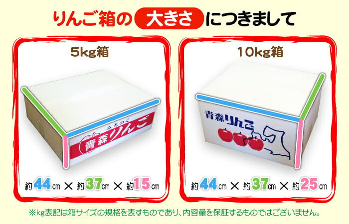 【11月中旬頃発送】一華ベジフル 青森 りんご 王林 (おうりん) 家庭用 3C箱(8～12個入) 一華ベジフル 青森 お土産 青森県産 果物 フルーツ 訳あり ランキング ギフト リンゴ 林檎 アップル 送料無料 お歳暮 2026