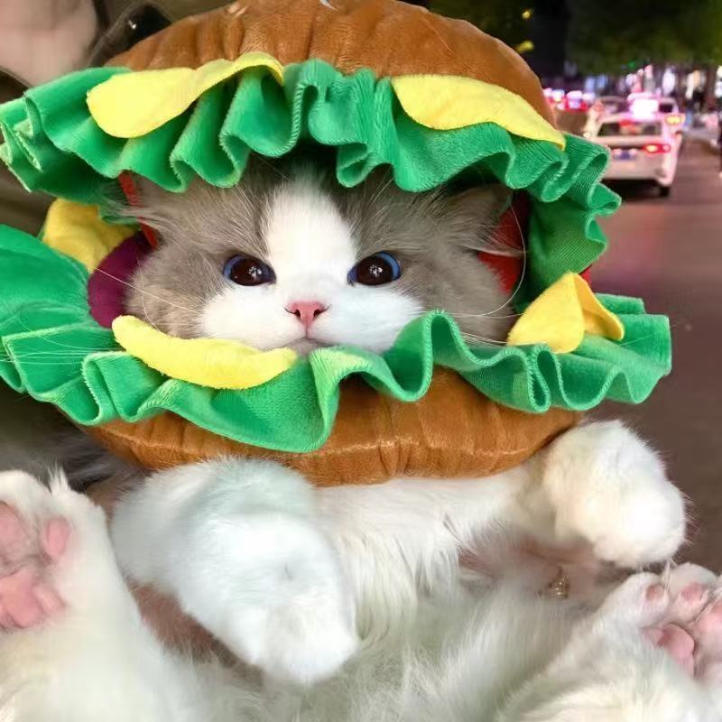 猫 帽子 犬 帽子 ペット 帽子 ハンバーガー コスプレ 猫用 犬用 被り物 かぶりもの ペット用品 かわいい おもしろ 変身 なりきり コスチューム 仮装 ペットウェア 猫グッズ 犬グッズ 小型犬 猫用帽子 ふわふわ 写真撮影 SNS映え 誕生日 ハロウィン クリスマス S M L