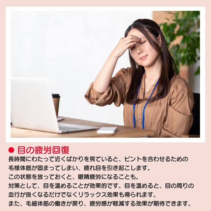 アイピロー モモンガ アイマスク 温冷 エコウォーマー カイロ 電子レンジ ホット クール かわいい アニマル  おしゃれ ぬいぐるみ レンジ 繰り返し リラックス 疲れ目 春夏秋冬