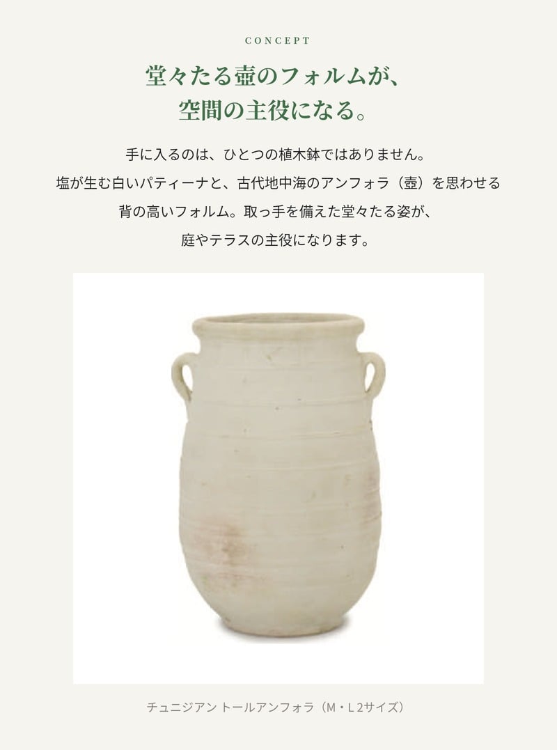 植木鉢 おしゃれ 大型 テラコッタ 白 ホワイト 素焼き 地中海 アンティーク調 アンフォラ 壺 KONTON コントン チュニジアン トールアンフォラ TN-102X L M 約13号 10号 底穴あり 屋外 テラス 庭 玄関 オリーブ ヤシ 観葉植物 シンボルツリー 取っ手付き 大型プランター