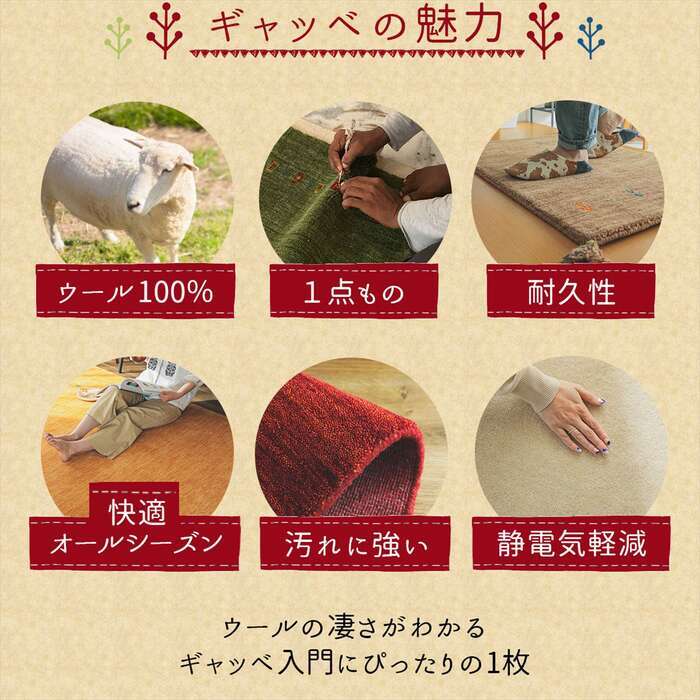 ラグ カーペット マット 玄関 玄関マット おしゃれ 40x60cm シンプルギャッベマット HOT対応 アヤカ 北欧 モダン シンプル デザイン かわいい かっこいい ギャッベ インド製 ホット 床暖 OK 送料無料 手織り 肌触り