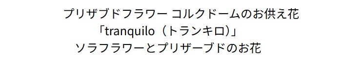 お供え プリザーブドフラワー 【tranquiloトランキロ】 ぷりざーぶどふらわーと空フラワーの御供花　ドームに入っているので埃がかぶらずお手入れが簡単です お供え花 花 プリザーブド お悔み ご仏前に お供 お水が要らない 長く飾れる花 土日発送 お花 送料無料　