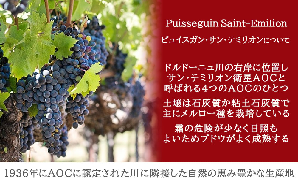 ワイン スイーツ ギフトセット【無料 ラッピング メッセージカード】 フランス ボルドー 赤ワイン イタリア スパークリングワイン 辛口 375ml ハーフボトル 2本 フランス モン・サンミッシェル サブレ チョコチップ 発酵バター 誕生日 内祝い 贈答 家族 友人 熨斗可 ギフト箱付 送料無料