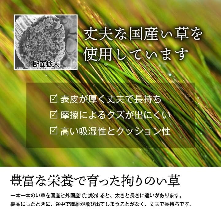 夏ラグ 夏用カーペット 純国産 い草 上敷き 上質ない草で作った カーペット 双目織 江戸間6畳(約261×352cm）