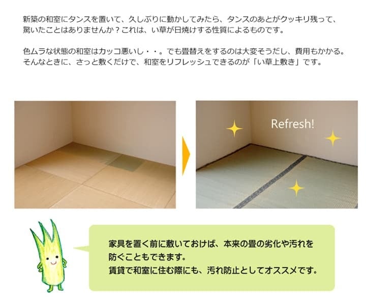 夏ラグ 夏用カーペット 純国産 い草 上敷き カーペット 糸引織 『湯沢』 六一間8畳(約370×370cm）