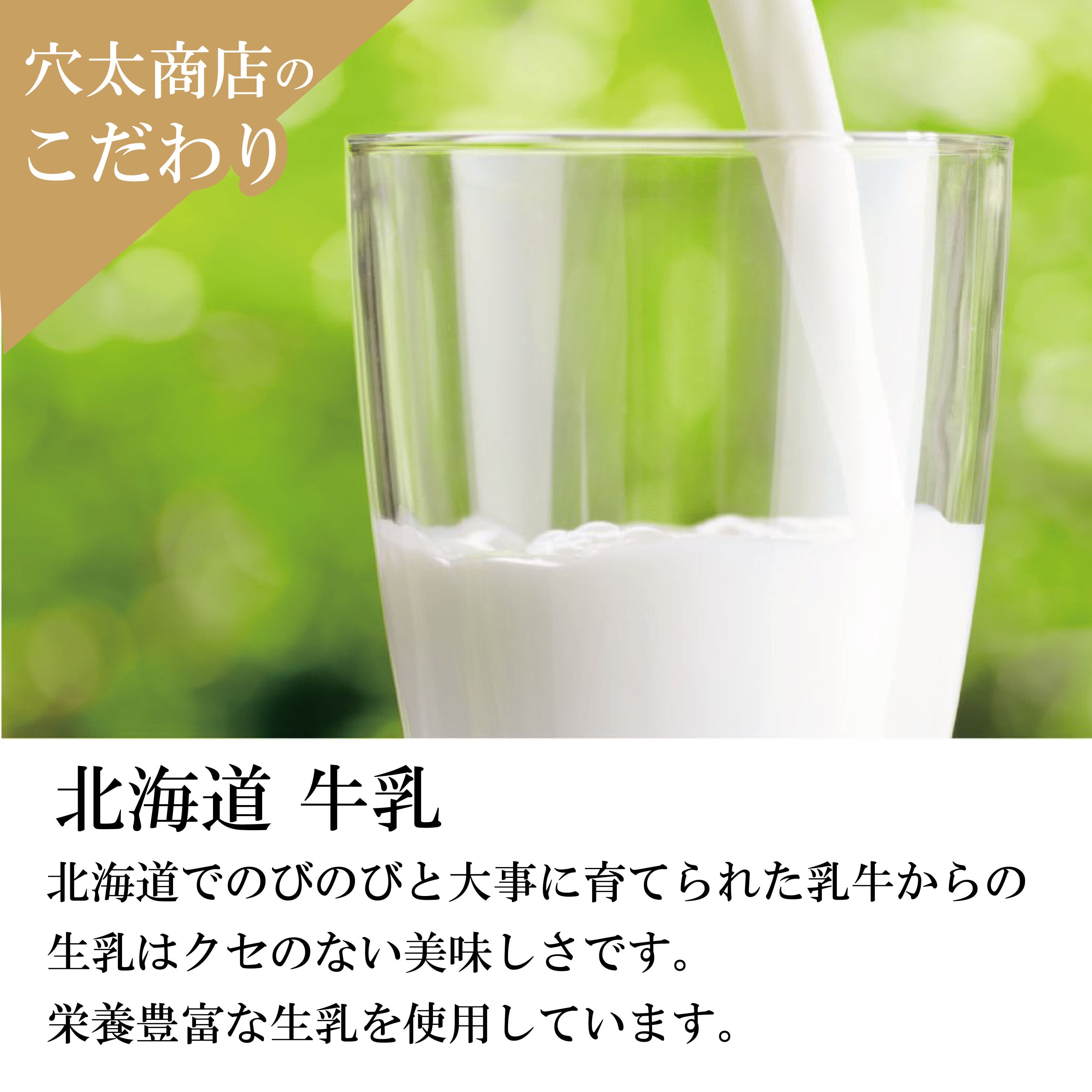 【秋限定商品】詰め合わせ ほうじ茶プリン ３個＋ 白いプリンサルルン３個