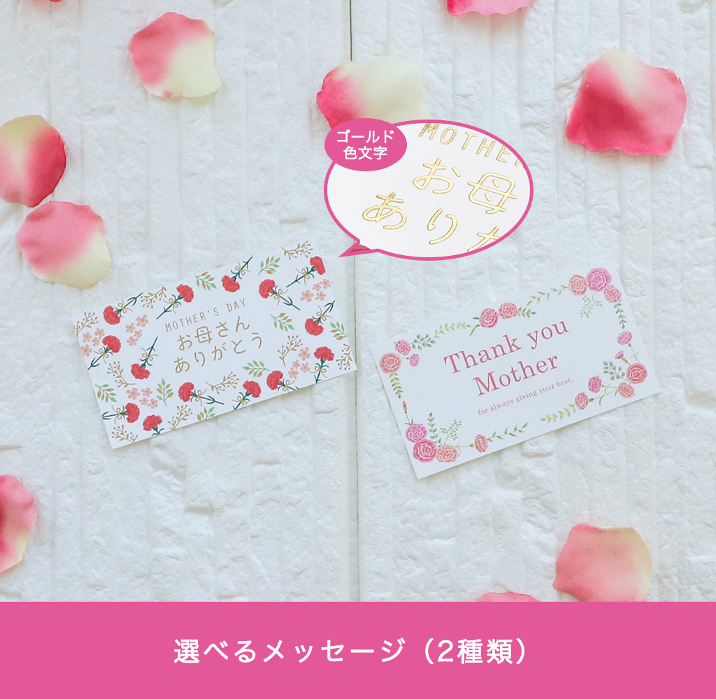 母の日 ギフト カーネーション ソープフラワー ぬいぐるみ付き くま ミニドーム クリアボックス入り アレンジ ギフトラッピング付き メッセージカード付 ｜ ピンク もも色