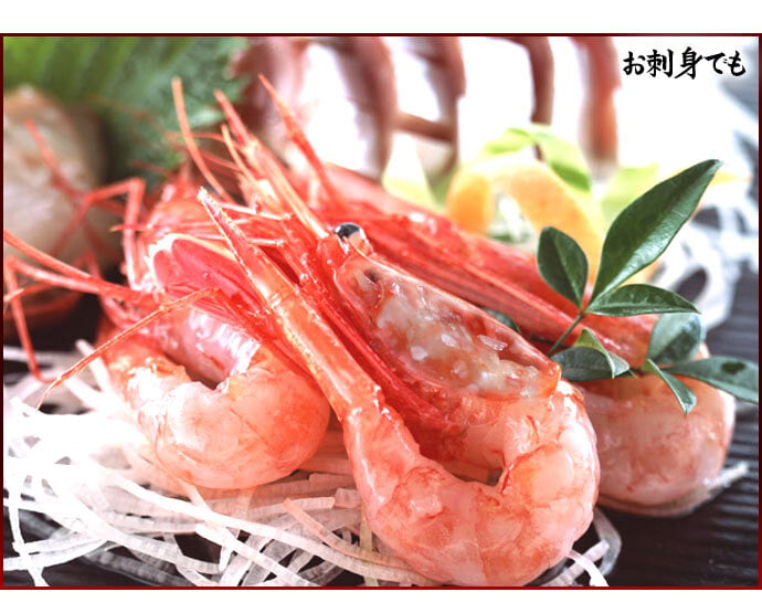 ボタンエビ 活 〆 オス 大中サイズ 1kg 秋 北海道 噴火湾産 送料無料※沖縄は送料別途加算