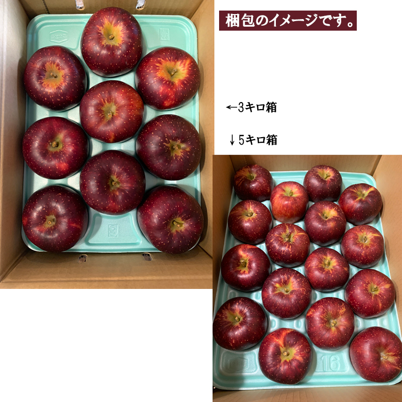 【予約】長野県産りんご 秋映 秀品 ご贈答 果物 フルーツ お取り寄せ 産地直送 【送料無料(一部地域除く)】