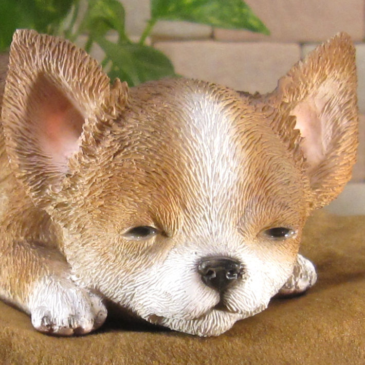 犬　置物 リアル　ウトウト・ねむねむ　チワワ　いぬ　動物オブジェ　ガーデン　オーナメント　店舗　カウンター　装飾　オブジェ　インテリア　玄関先　庭　犬好きさん人気ギフト　動物人気ギフト　クリスマスプレゼント　お誕生日祝い　母の日人気　父の日人気　敬老の日人気