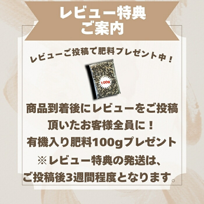 すくすくシートセット シート14平米+J字型ピン100本　完全植栽マニュアル付き クラピア 芝桜 マルチング