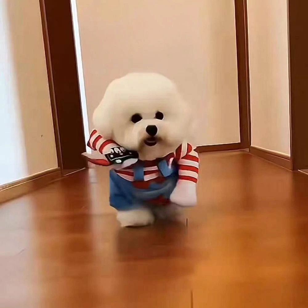 犬服 ハロウィン コスプレ 犬用 コスチューム ホラー チャッキー風 仮装 衣装 ナイフ付き かわいい おもしろ ペット服 小型犬 中型犬 柴犬 トイプードル ビションフリーゼ 写真撮影 SNS映え パーティー XS S M L XL