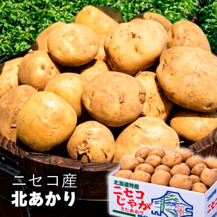 【出荷時期10/1頃～2月末まで(受付2/18終了)】北海道 ニセコ産北あかり(LMサイズ)5kg,10kg（送料無料 プレゼント グルメ 贈り物  御祝 内祝い 景品 賞品 ご褒美 誕生日 出産祝い 結婚 上司 男 女 友達 新築 引越 送別会 定年 退職祝い 還暦  産地直送 じゃがいも ジャガイモ 男爵イモ ギフト お歳暮 寒中見舞い）