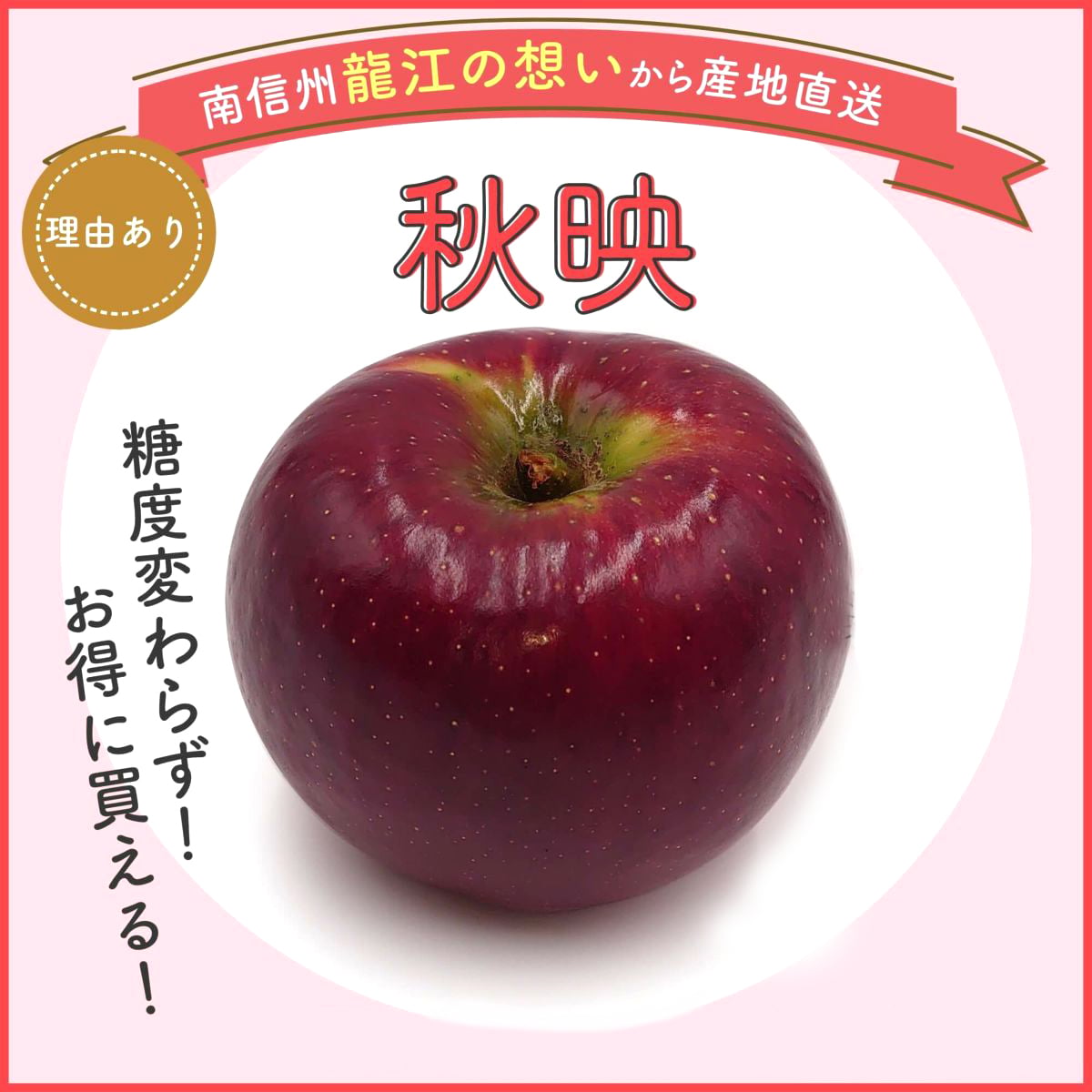 【予約】長野県産りんご 秋映 訳あり ご自宅用 果物 フルーツ お取り寄せ 産地直送 【送料無料(一部地域除く)】