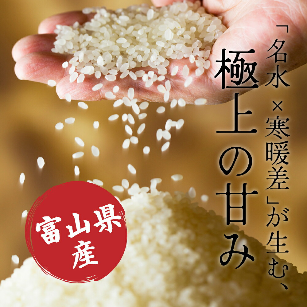 富山県産 コシヒカリ【内容量が選べる5kg~30kg】雑穀米本舗  富山県 選べる 白米  令和8年産 単一原料米 送料無料 精米工場からの直送品