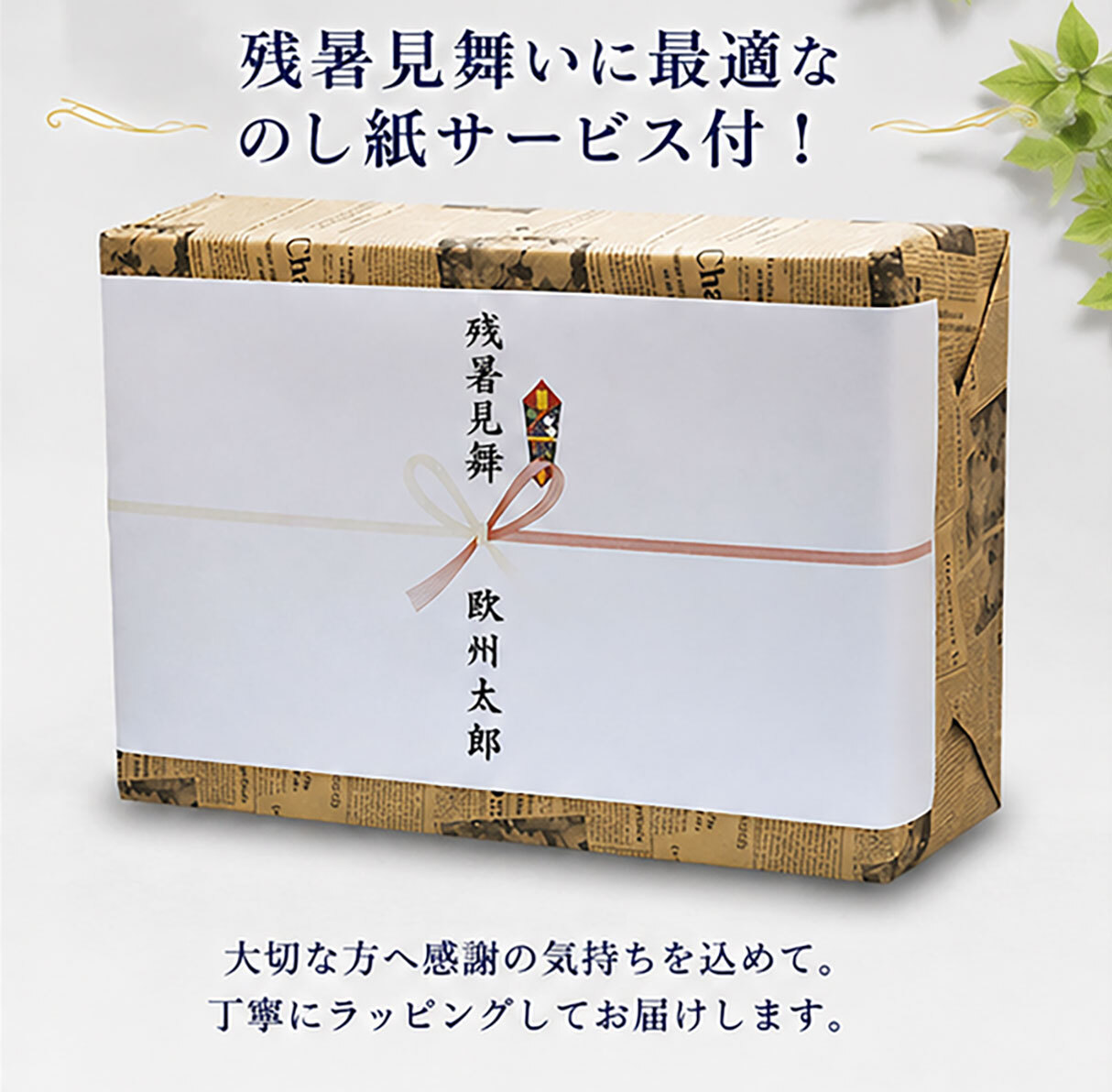 残暑見舞ギフト 人気のドイツビール 330ml×10種 10本飲み比べお中元ギフトセット｜送料無料（一部地域有料）