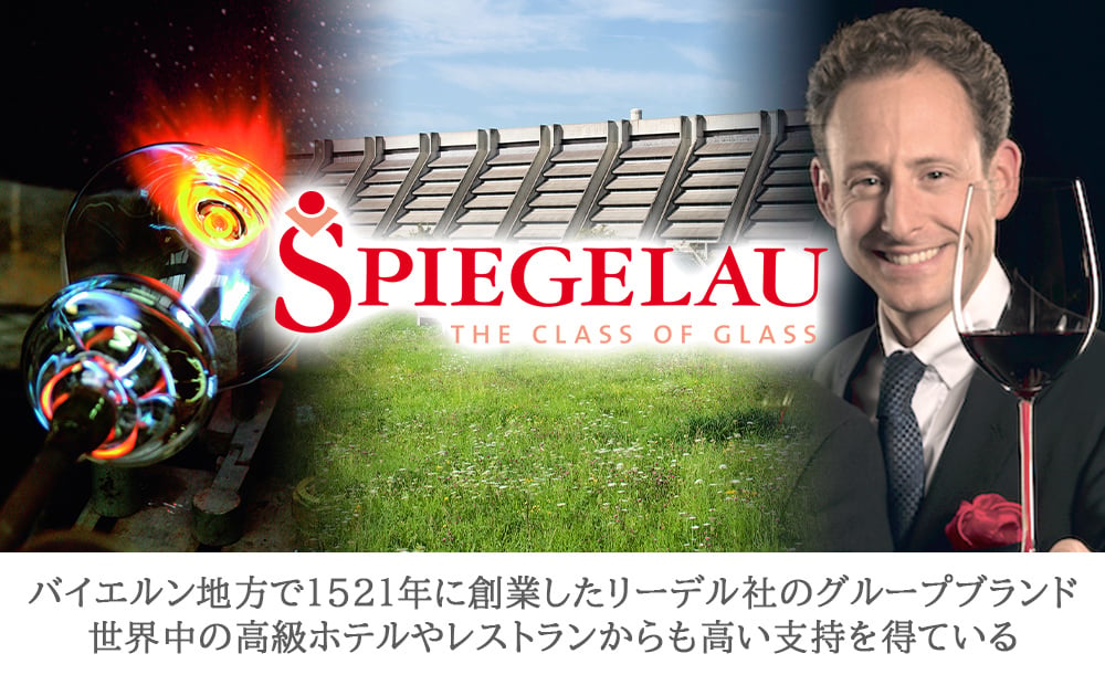 結婚祝い ワイン ペアグラス付き 赤ワイン ギフトセット【無料 リボンラッピング メッセージカード】フランス ボルドー フロンサックフルボディ 赤 辛口 750ml  ドイツ シュピゲラウ ワイングラス 割れにくい 結婚祝い 結婚記念日 周年祝い 開店 誕生日 新築祝い 引越し祝い お返し 送料無料