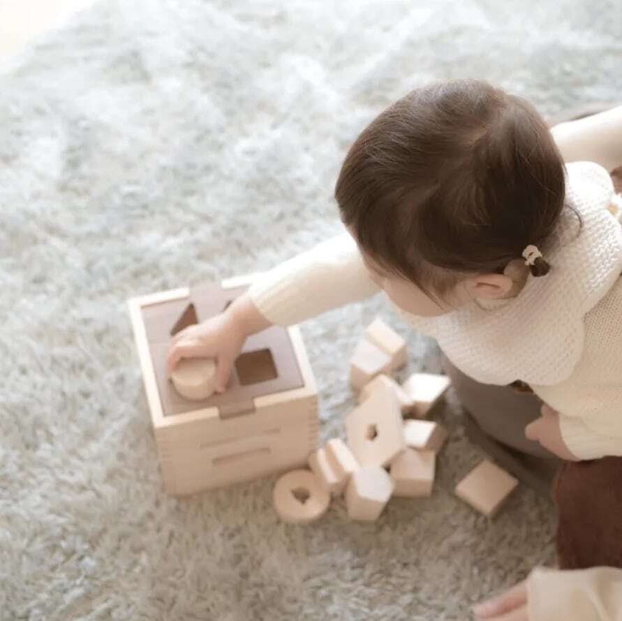 IKONIH ドロップボックス 型はめパズル 国産ひのき 無塗装 アイコニー T0026 ベビー用知育玩具 ギフト プレゼント 出産祝い