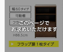 収納家具 ラック DEALS-ディールズ- フラップ扉1枚タイプ DS60-F1--WAL ウォールナット ホームテイスト ディスプレイ シリーズ 本棚 ブック フラップ フラップチェスト