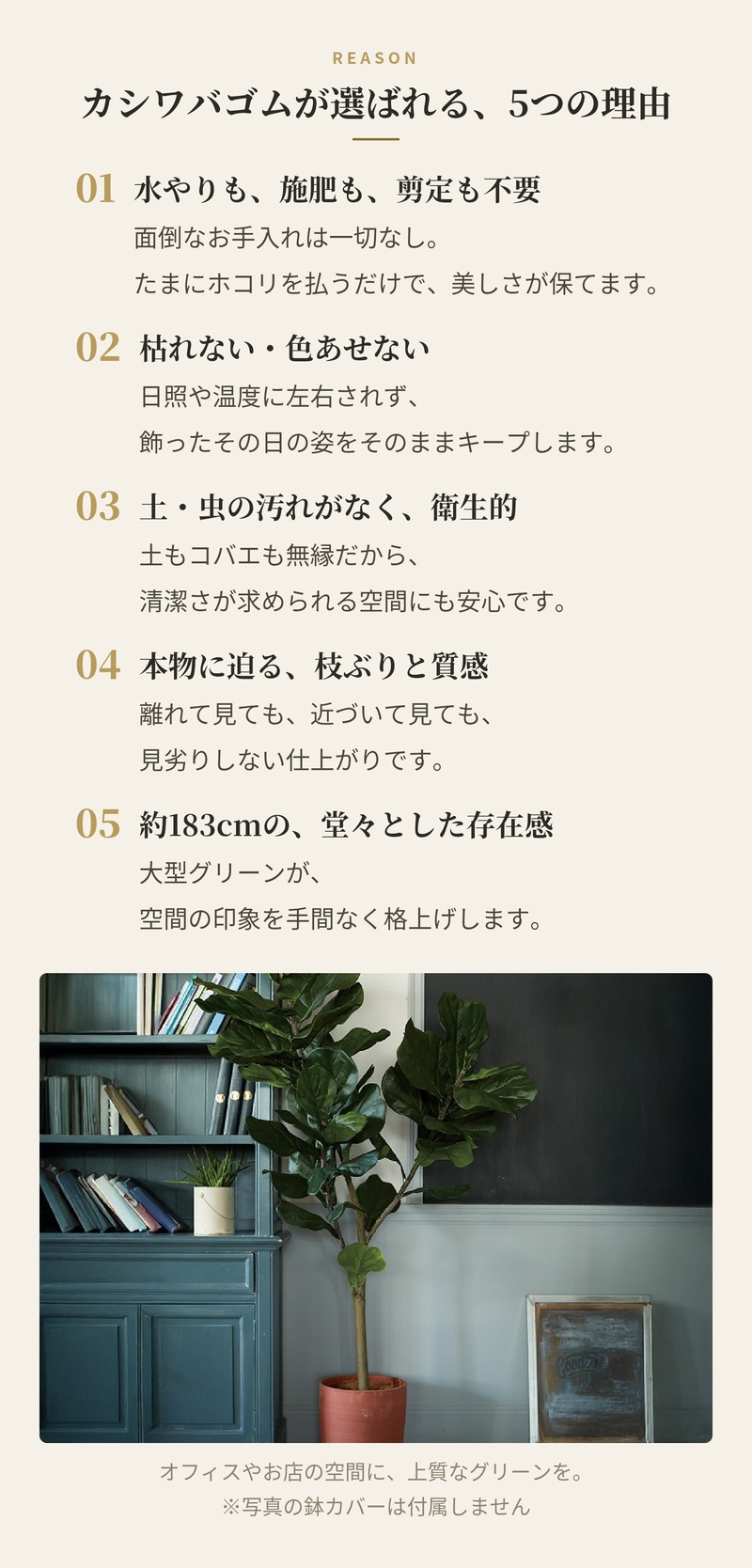 観葉植物 造花 カシワバゴム BROWN 全高約183cm 大型 フェイクグリーン 高級 本物そっくり リアル おしゃれ インテリア 人工観葉植物 アーティフィシャルグリーン モダン オフィス 店舗 ホテル 開店祝い 室内 リビング 玄関 風水 カシワバゴムノキ